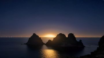 两位男性朋友在上海外滩夜景前并肩而立，城市灯光璀璨，友情温暖真实